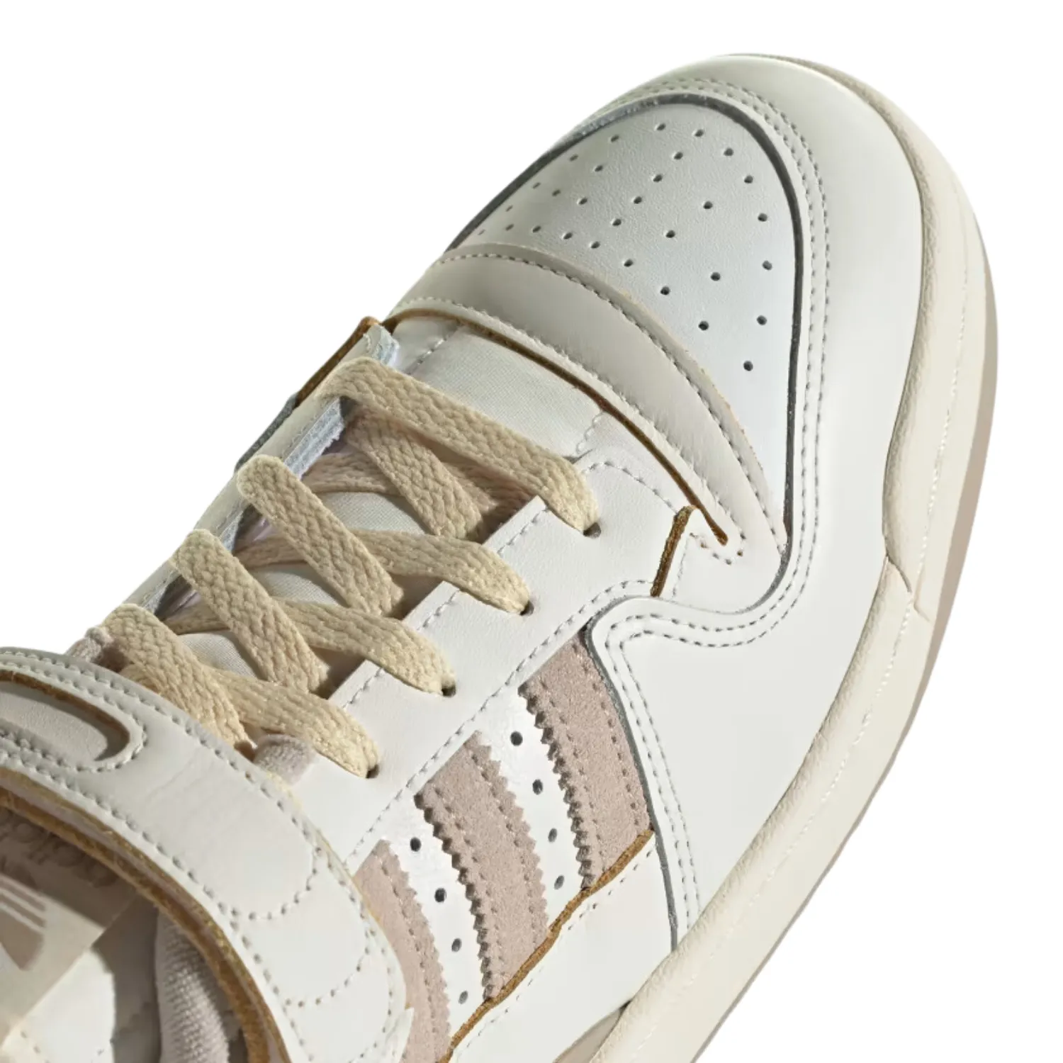 FORUM 84 LOW
