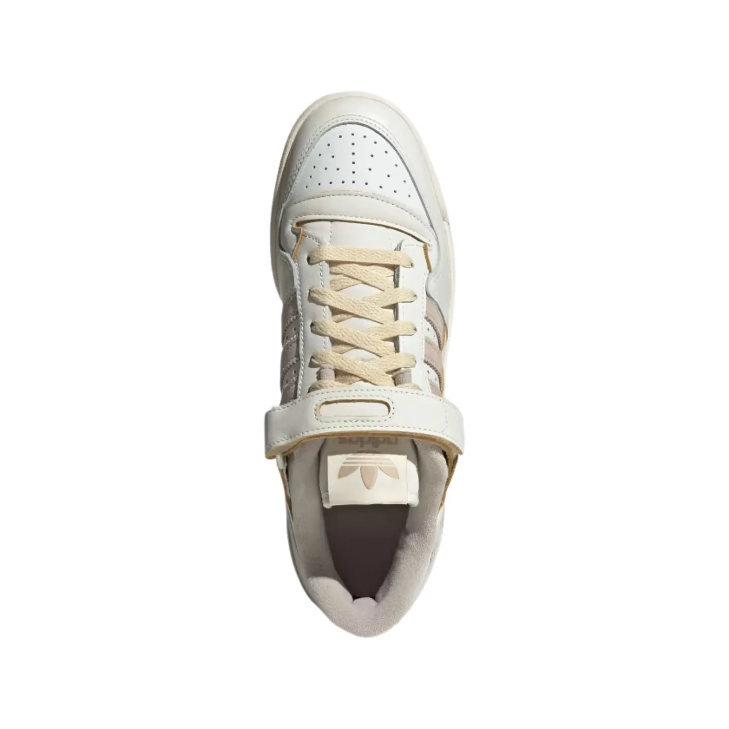 FORUM 84 LOW
