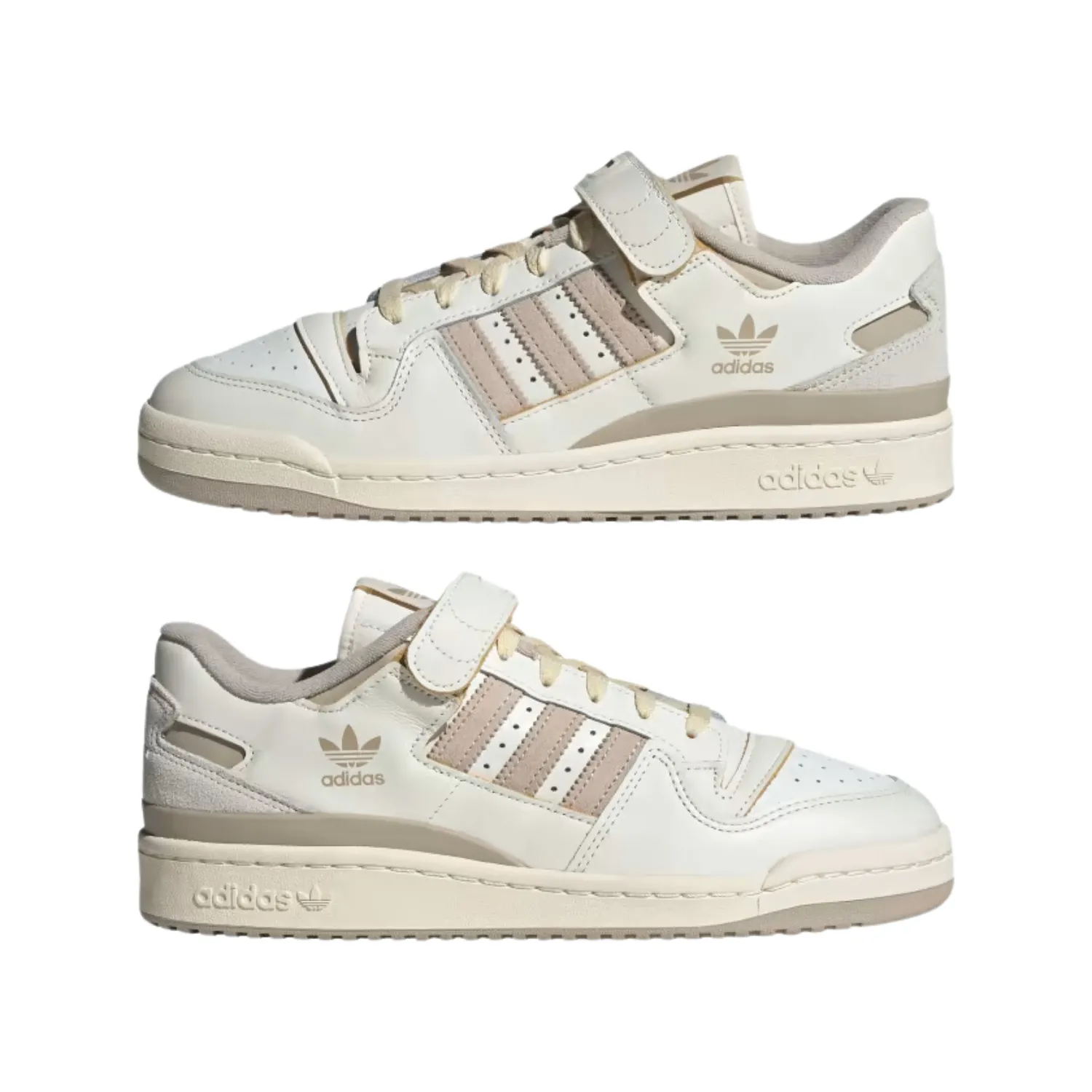 FORUM 84 LOW